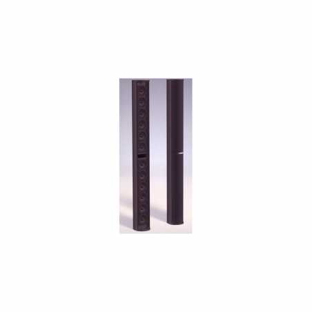 Line Array Bose Panaray® MA12