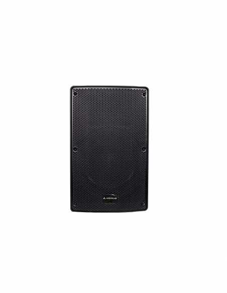 V12 PARLANTE PASIVO 300W RMS AUDIOLAB