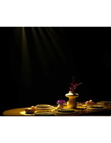 PIN SPOT ZOOM Barra spot con 6 LEDs blanco...
