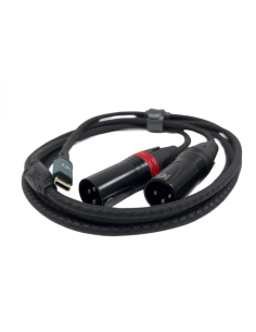 CABLE C A DOS XLR MACHO 2M.