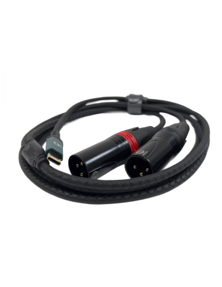 CABLE C A DOS XLR MACHO 2M.