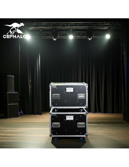 CASE RACK PRO 10U MADERA c/RUEDAS / APILABLE / CIERRE RÁPIDO / SISTEMA SLAM
