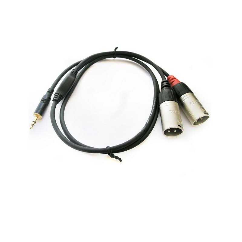 Cable 2xlr/M-mini plug st 0.9mt Rean